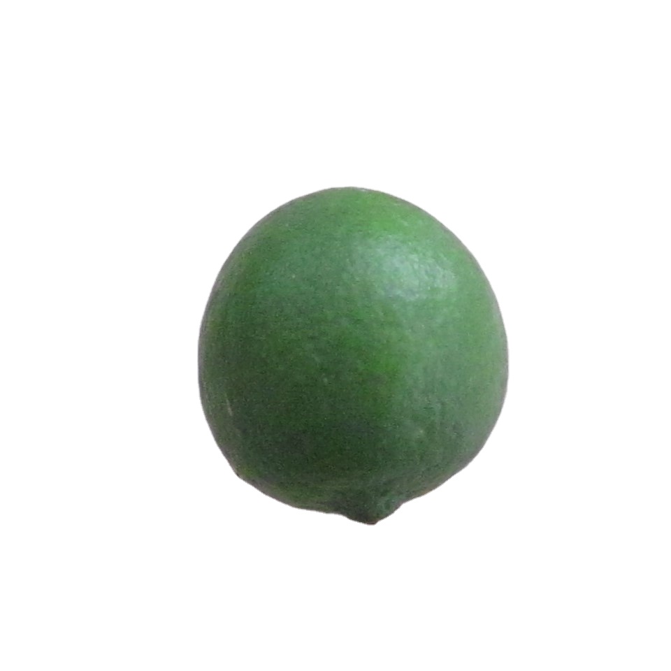 VIETNAMESE WHOLESALE FRUIT FRESH LEMON/ FRESH LIME/ SEEDLESS LIME 
