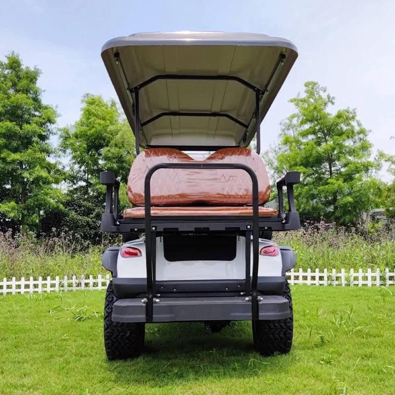 Luxury Electric Golf Cart
