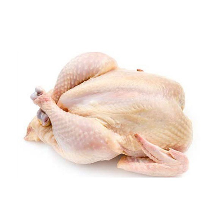 Halal High-quality Grade a Body Frozen Chicken 10kg Custom Brand From Thailand Vacuum Pack Low-Fat Low-Carb for Export