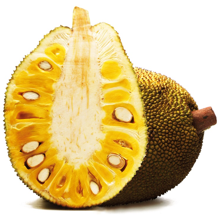 2026 Fresh Organic Jackfruit from Viet Nam Best Export Rates and Competitive Prices for Eating Fresh Fruit