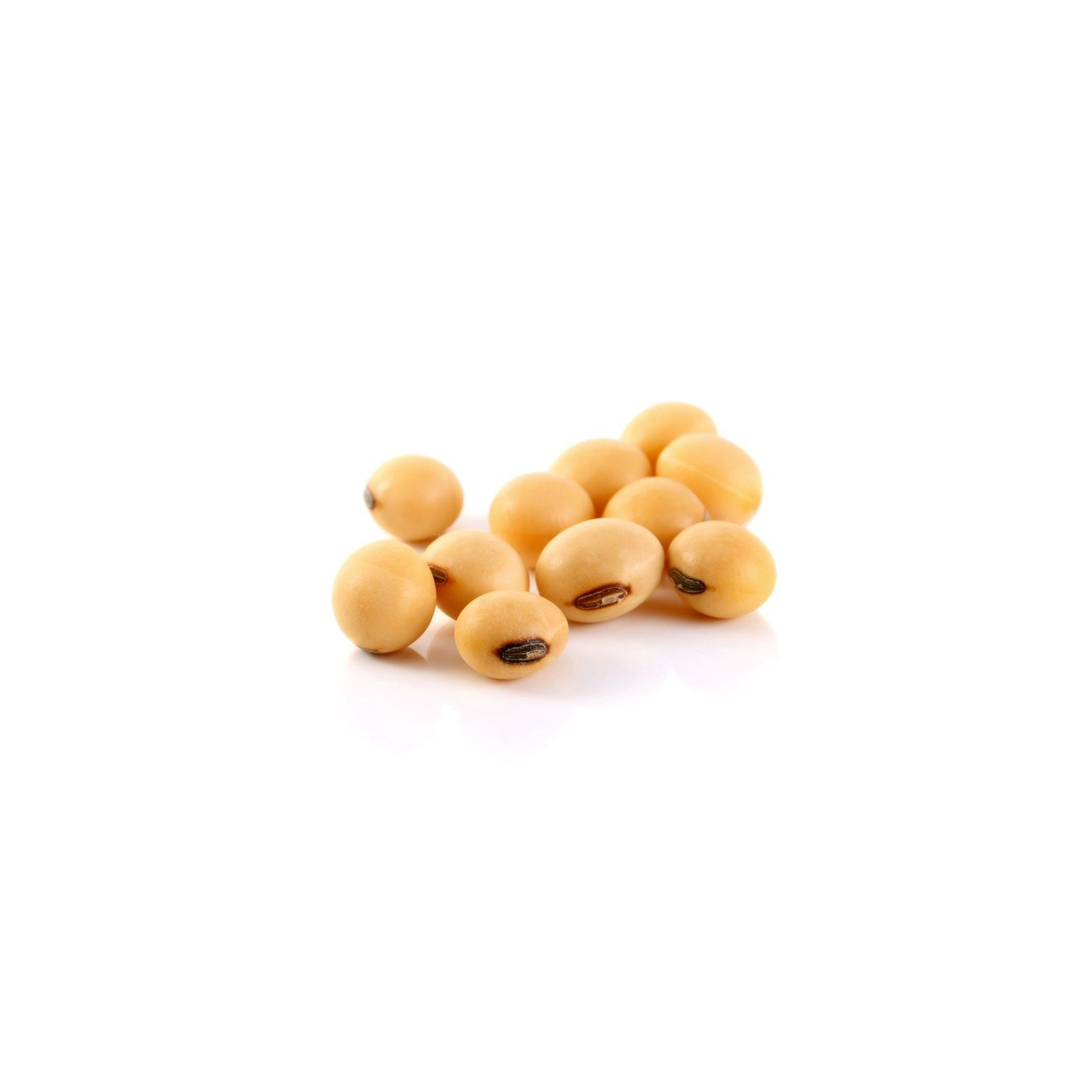 Top Organic Dried Bulk US Soybeans-USA Export Non-GMO High Quality Soybean Seeds