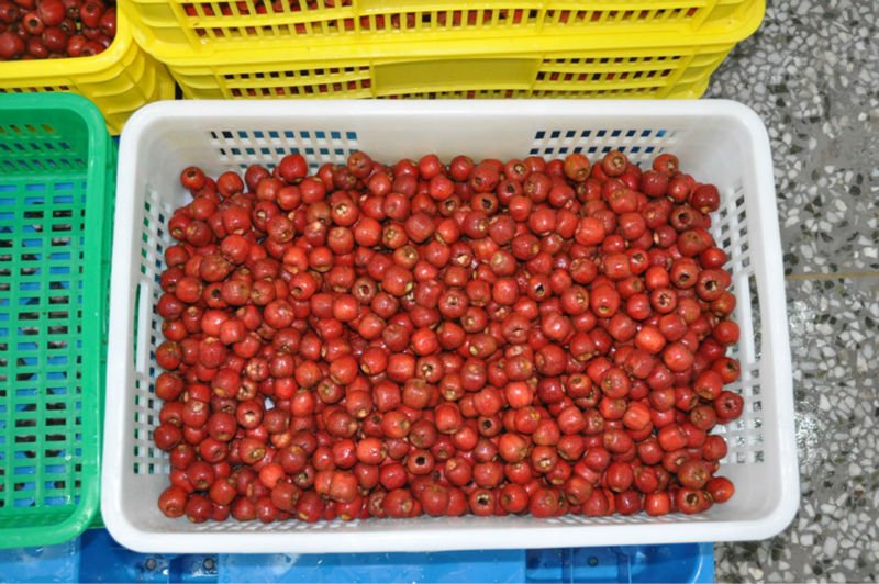Healthy Select Organic Fresh Hawthorn Berry Fruit & Vegetable Snack