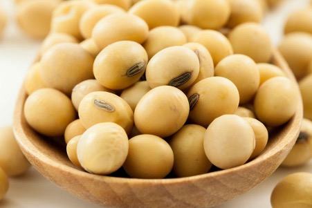 Organic Non-GMO Fresh Soybeans High Quality France 50kg 100% Mature Factory Food Wholesale 24 Months Shelf Life