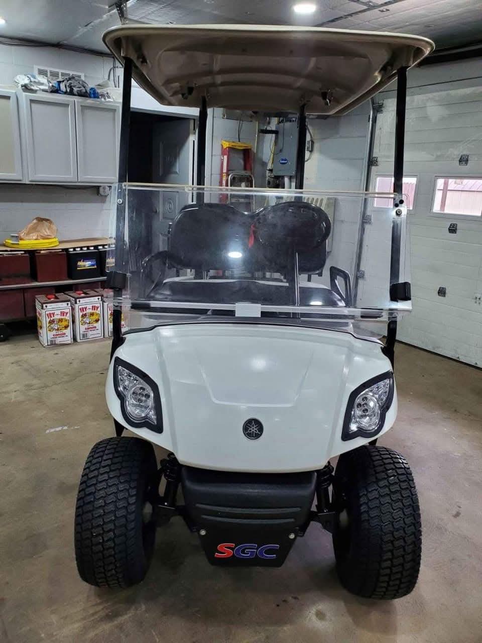 Electric Golf Cart