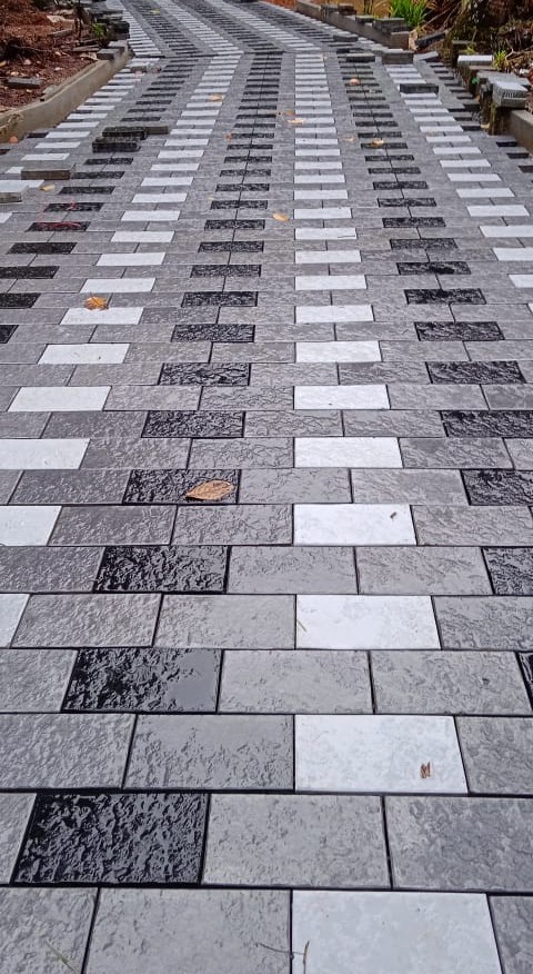Interlocking Paver Blocks