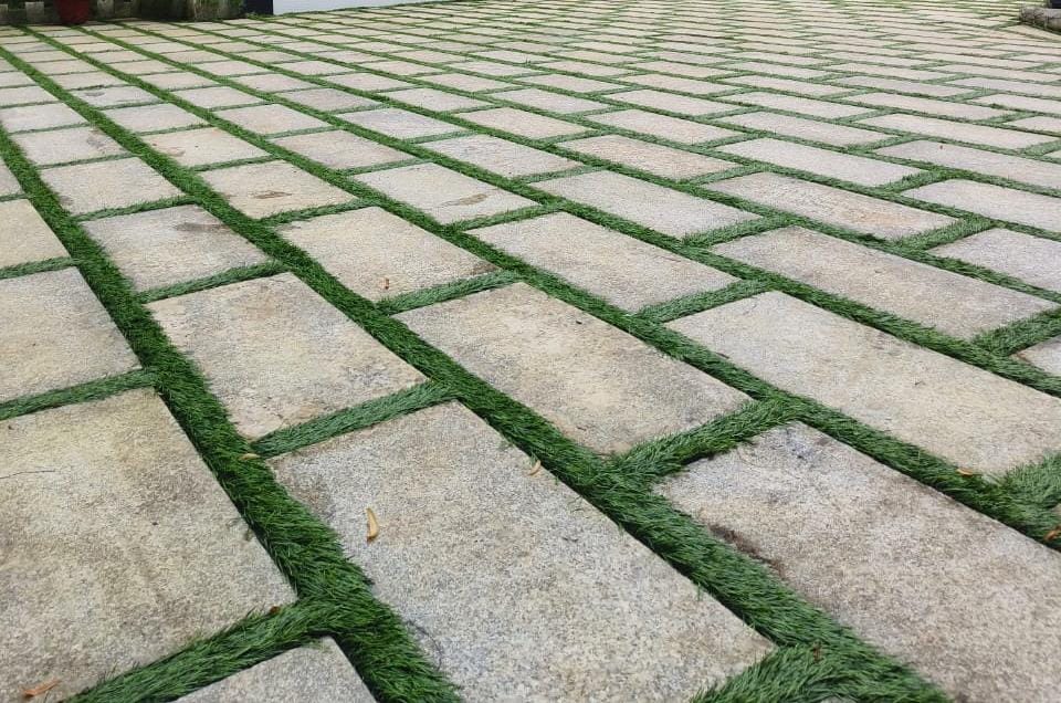 Grass Interlock Pavers