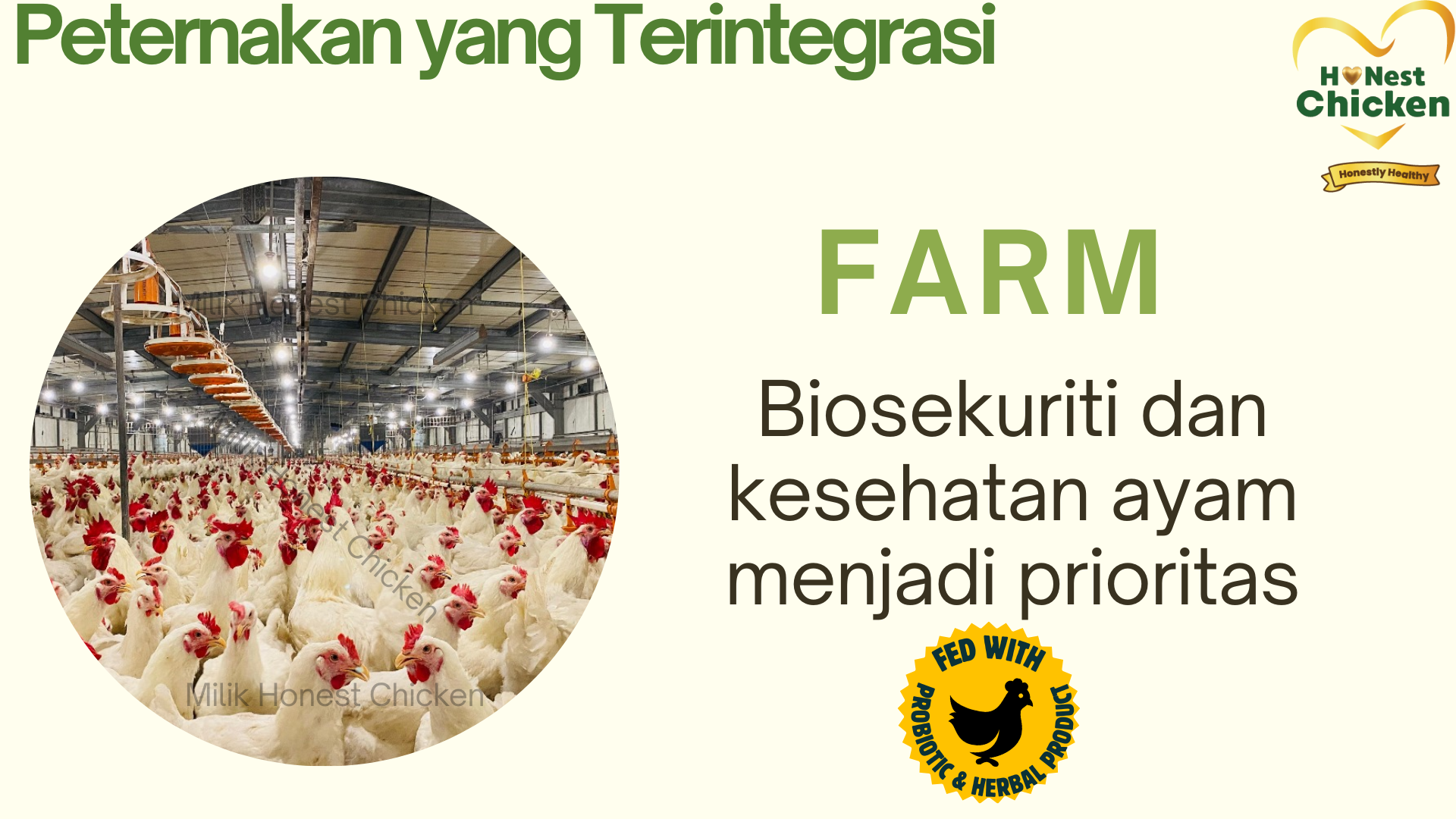 Fillet (Boneless) Paha Atas Honest Chicken PROBIOTIK+HERBAL