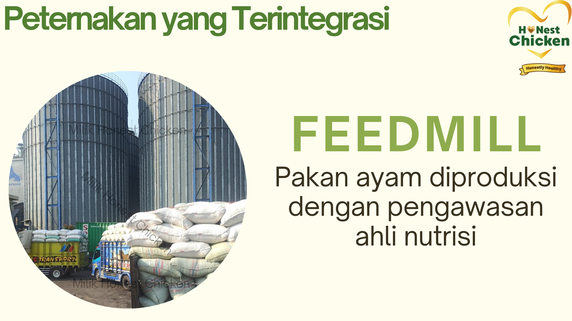 Fillet (Boneless) Paha Skinless Honest Chicken PROBIOTIK+HERBAL