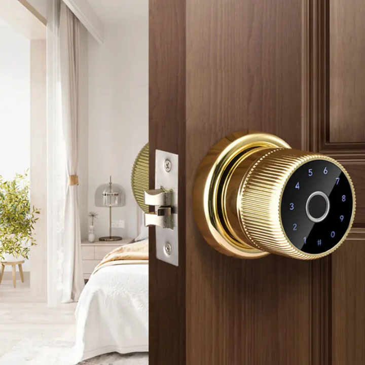 Digital Door Lock Knob