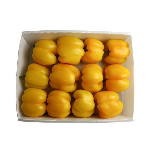Capsicum Yellow Box 4kg Oman