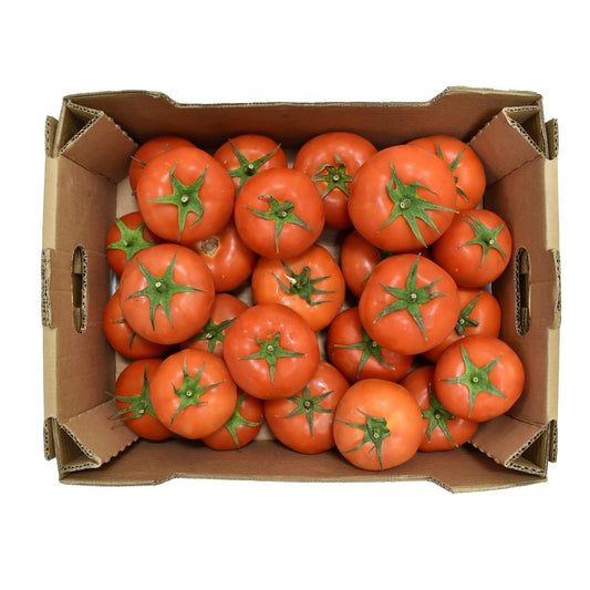 Tomato 5kg Oman