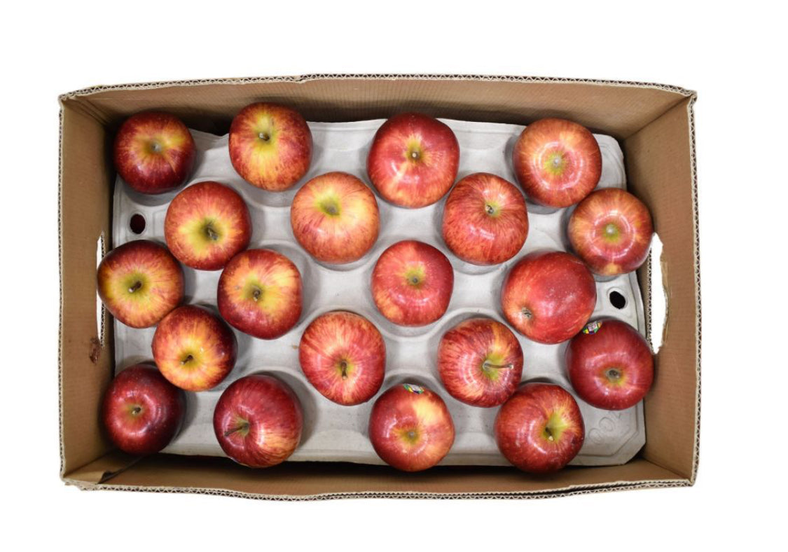 Apple royal gala 1 box 18 kg (Italy)