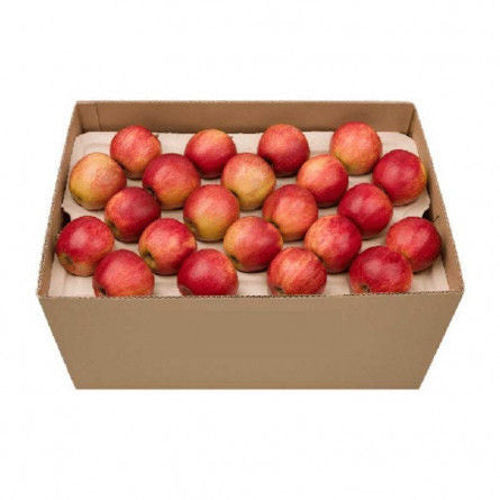Apple royal gala 1 box 18 kg (Italy)