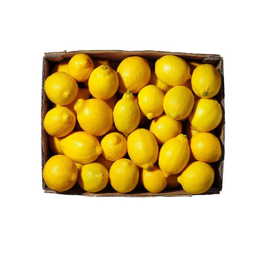 Lemon Box Size: 15 Kg South Africa