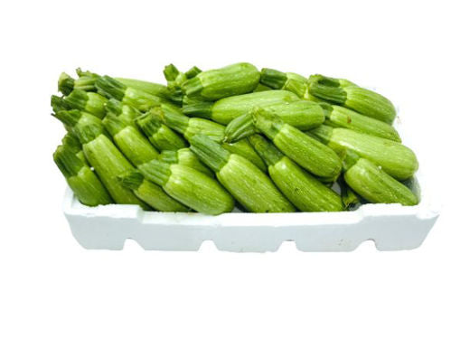 Marrow Box Approx 5kg UAE
