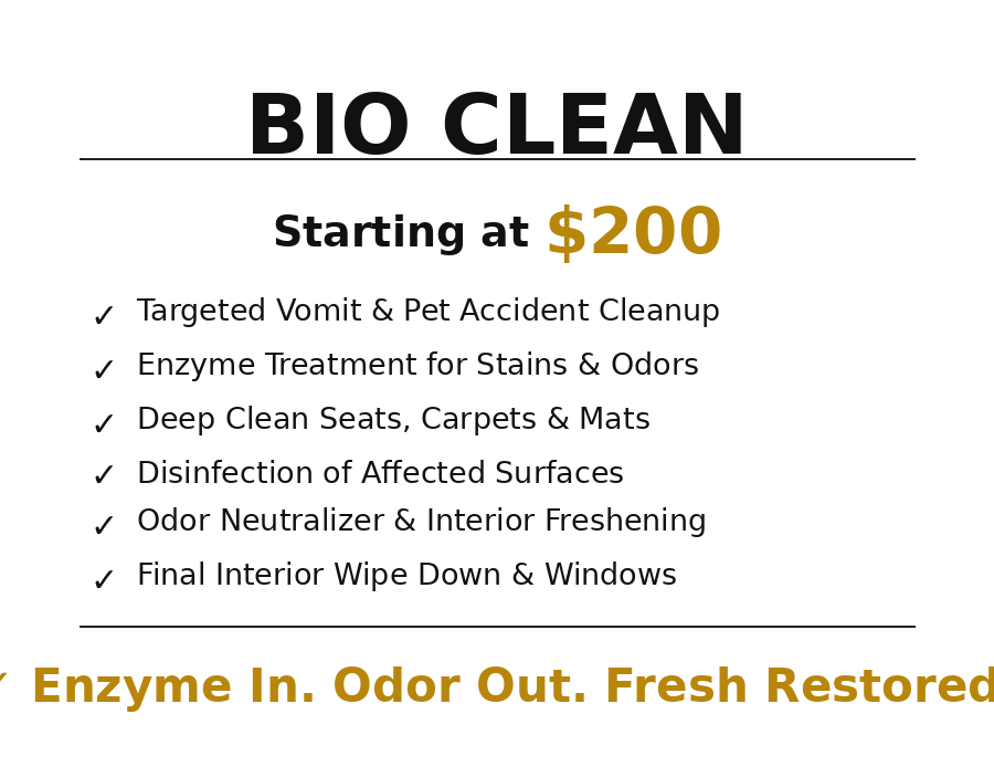 Bio Clean Service
