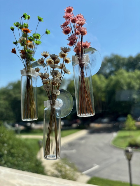 Desk or Suction cup mounted Mini Flower Vases