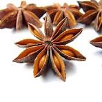 Anis Estrellado x 50 gr (digestivo, deshincha)