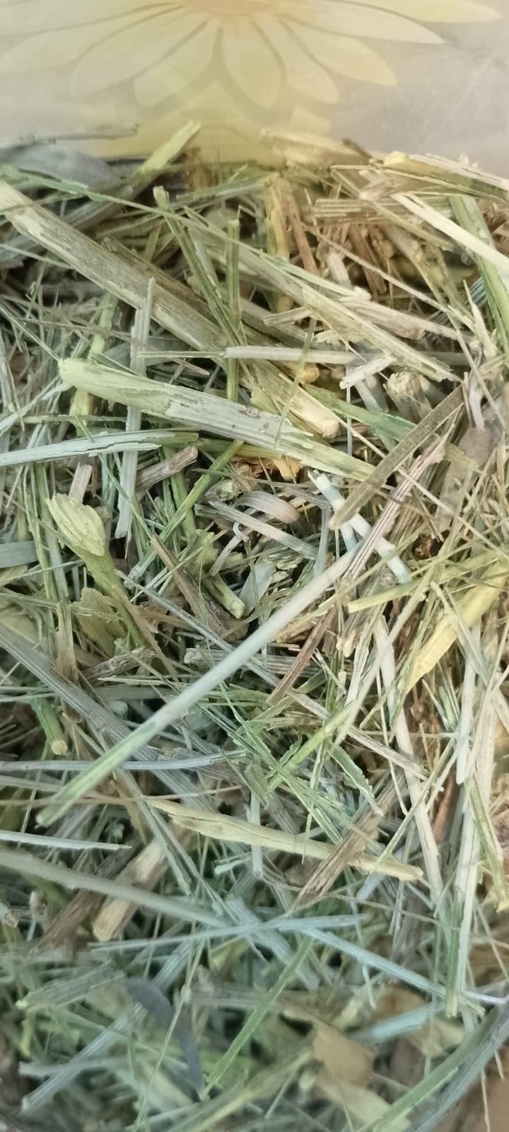 Palo azul agroecologico x 50 gr (diuretico)