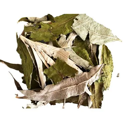 Matico x 50 gr