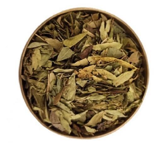 Sauco hoja x 50 gr
