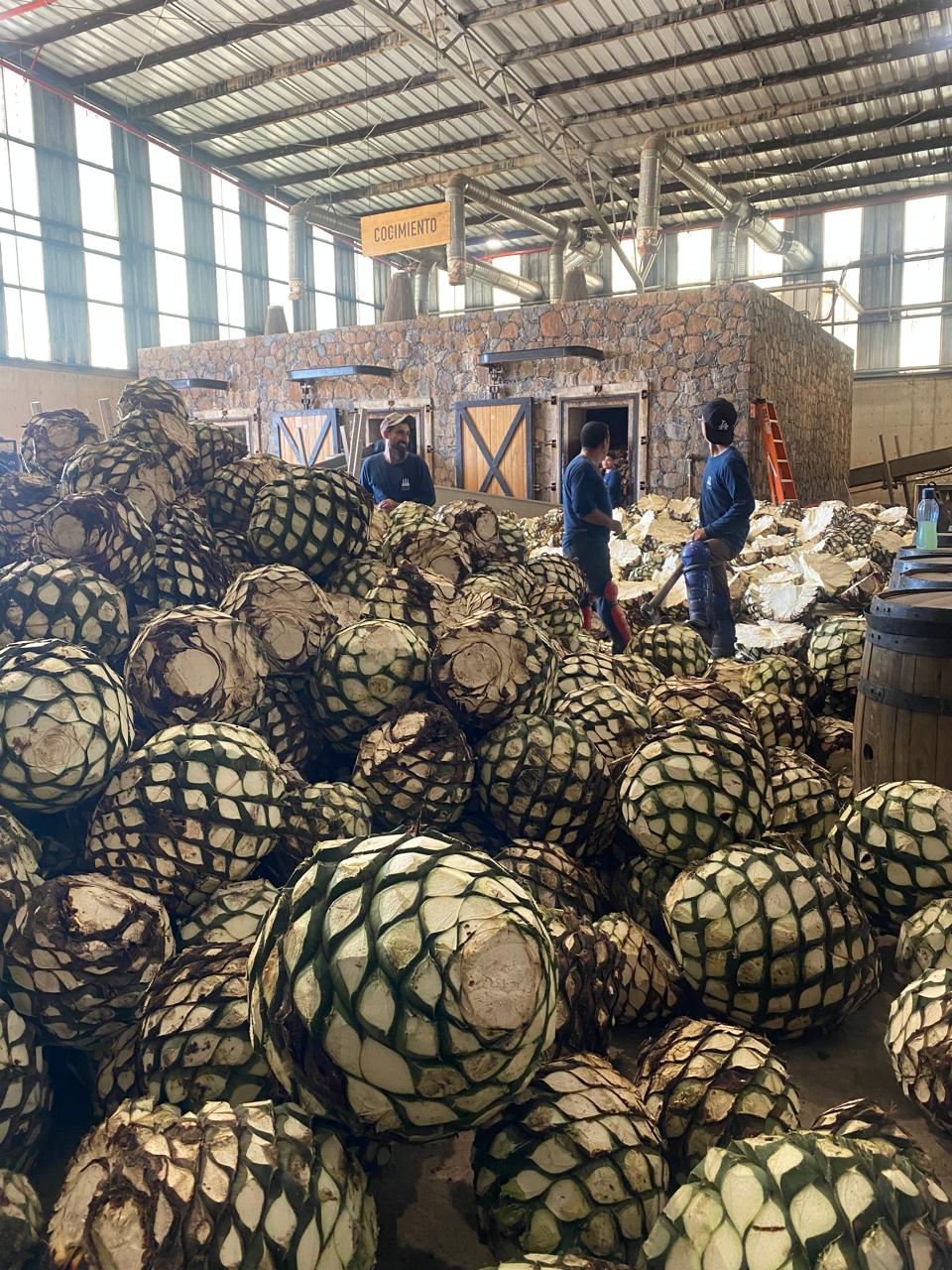Highlands Tequila Tour