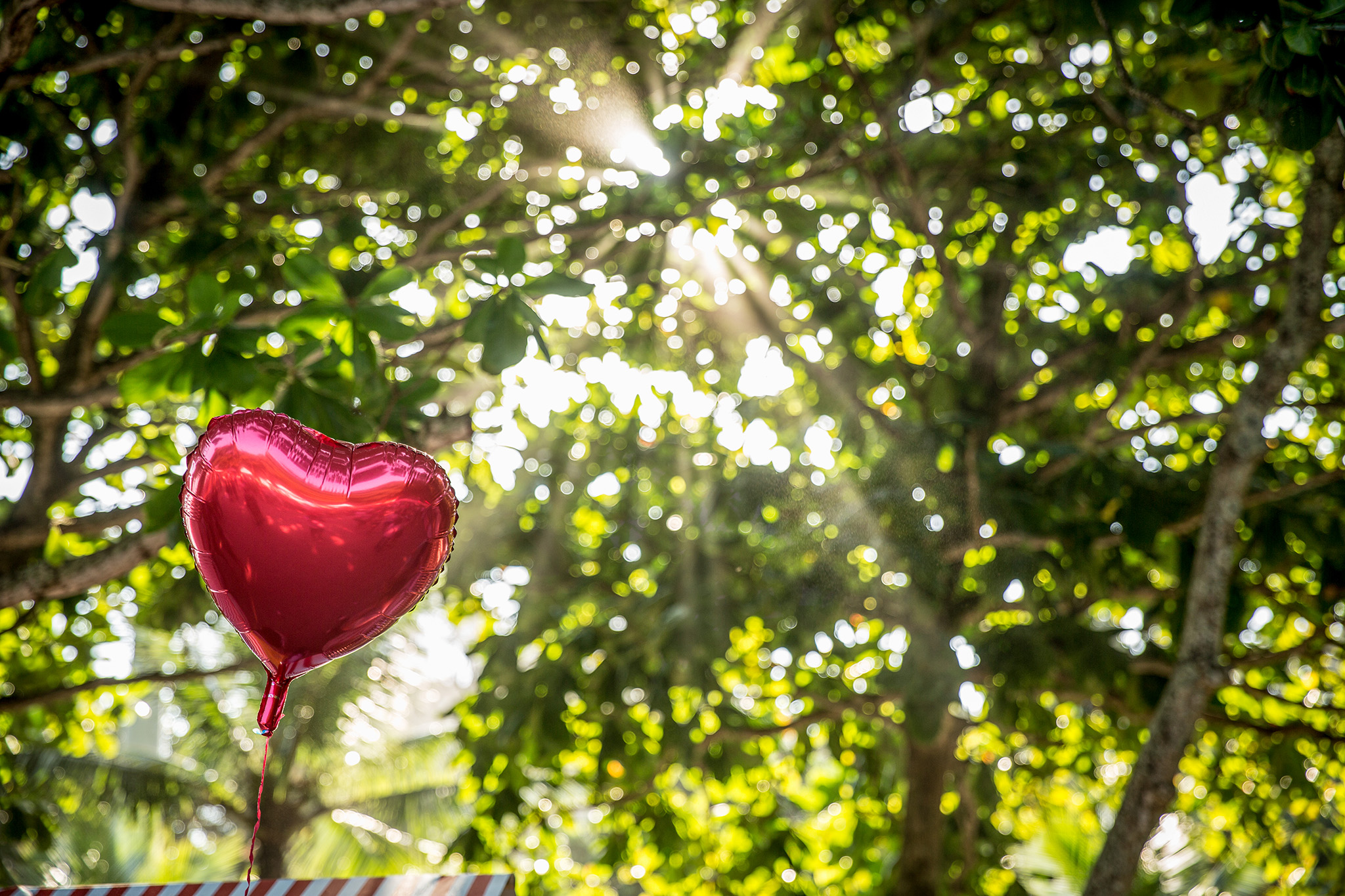 Balão de coração 2