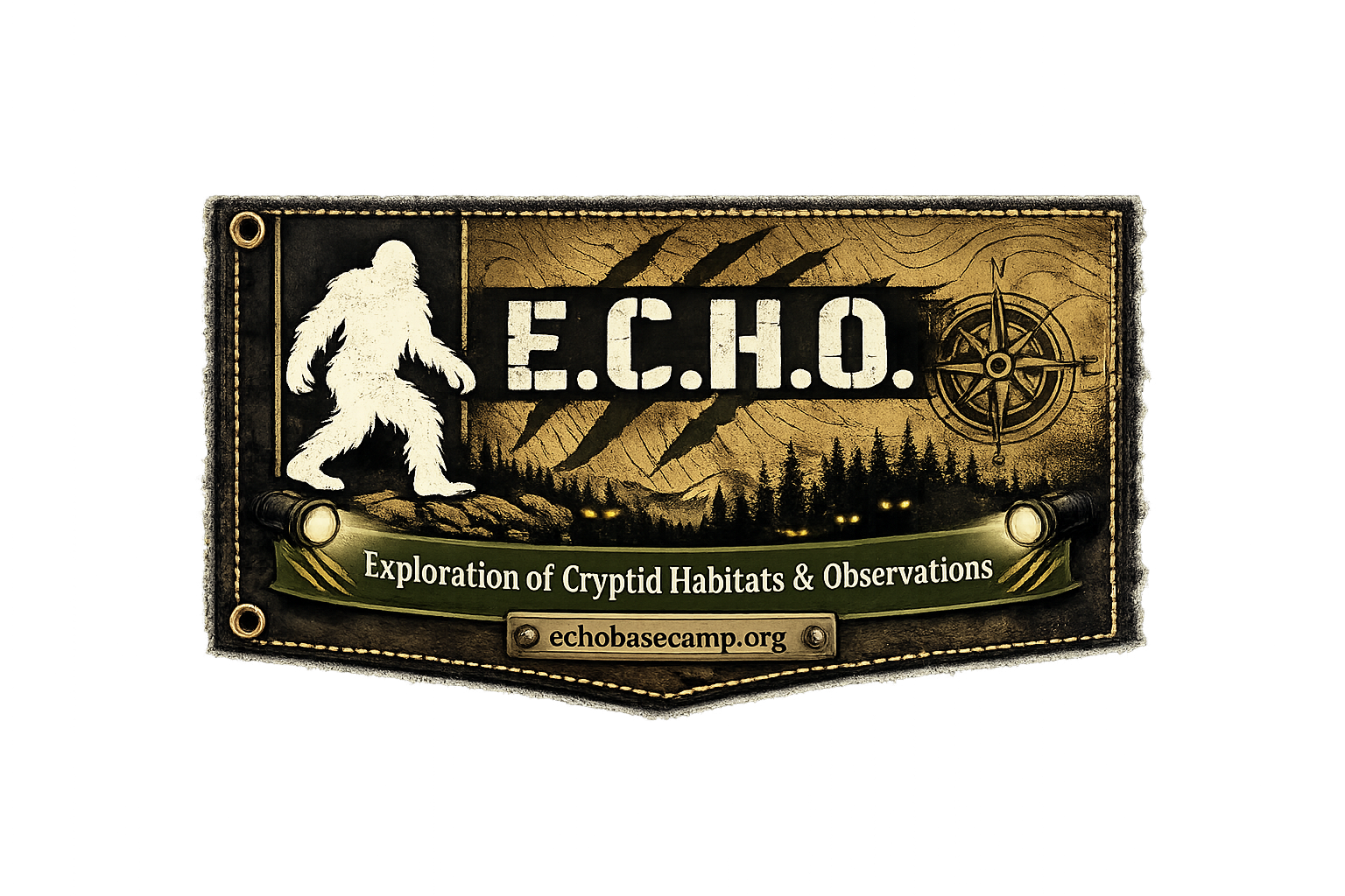 E.C.H.O.; LOGO STICKER 005