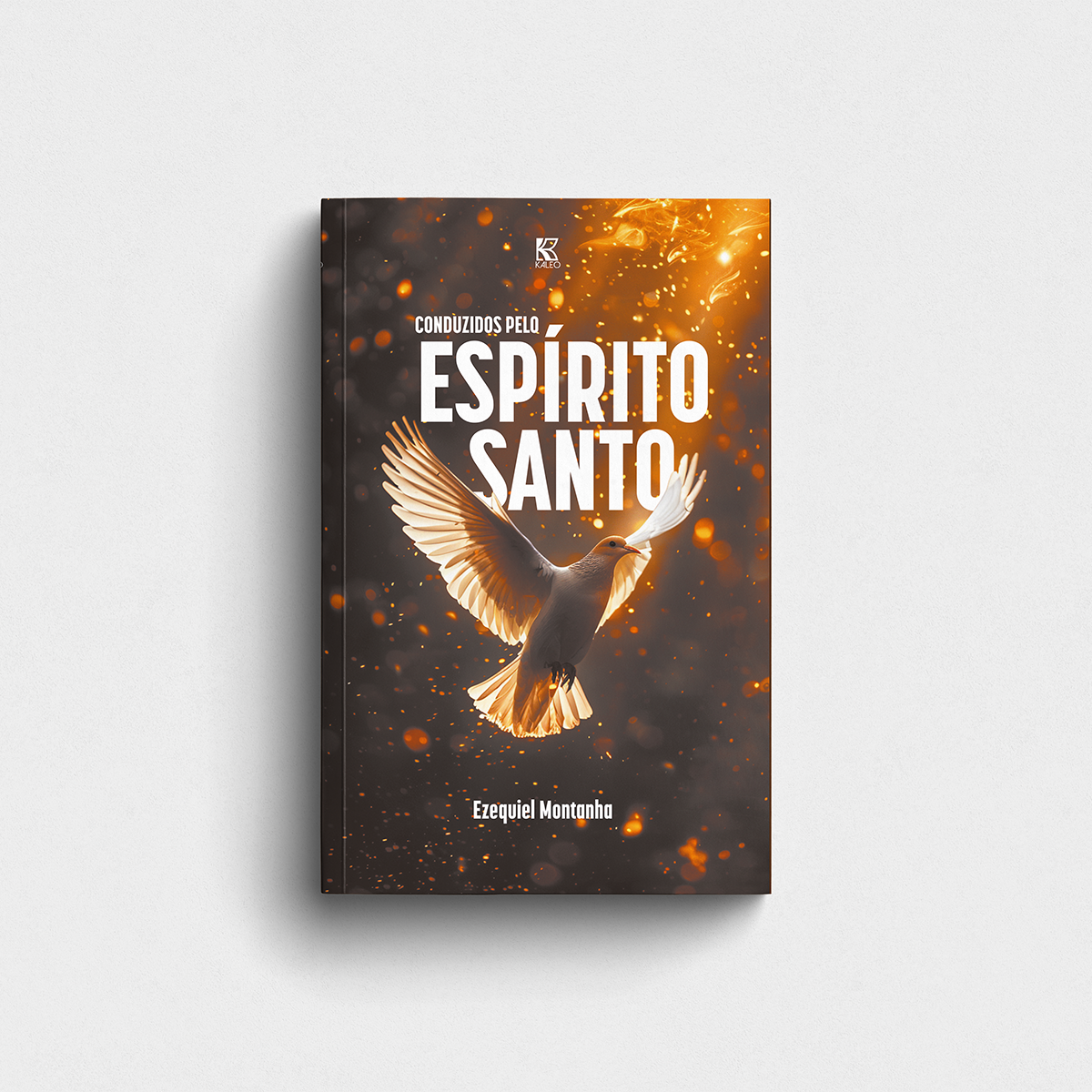 Conduzidos pelo Espírito Santo Vol 2