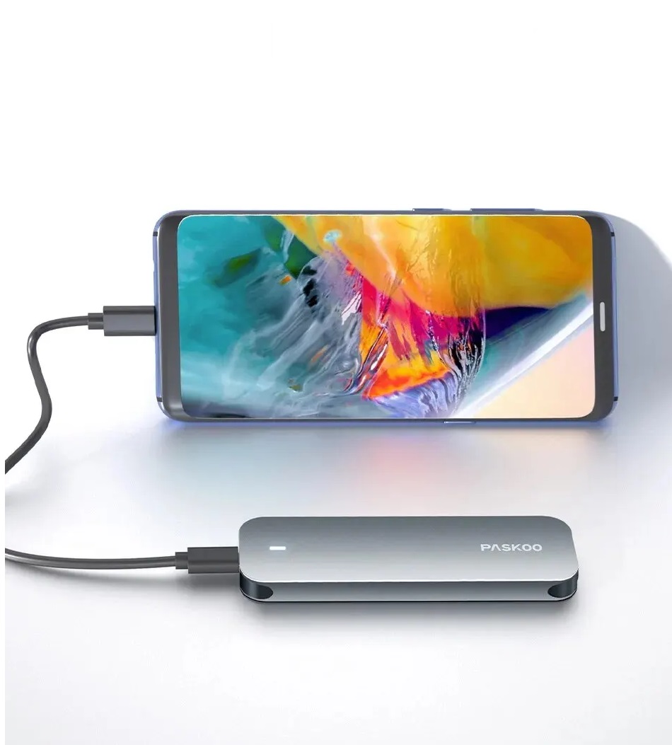 Paskoo Dual Protokol SSD Box