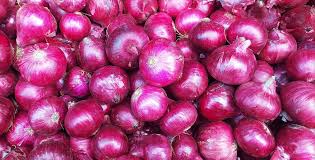 Fresh Onions
