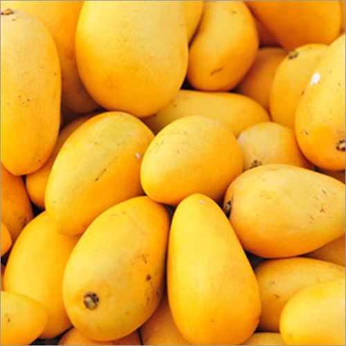 Alphonso Mangoes