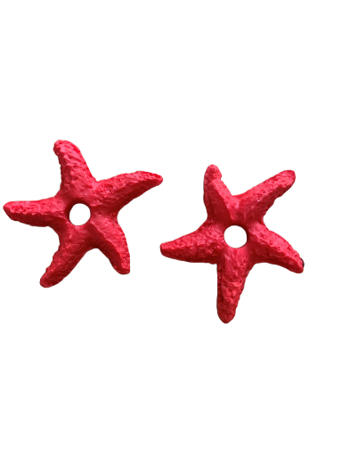 Etoile de mer 