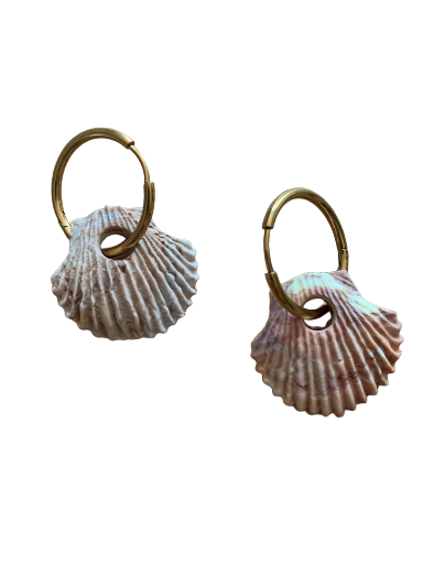 Coquillage 