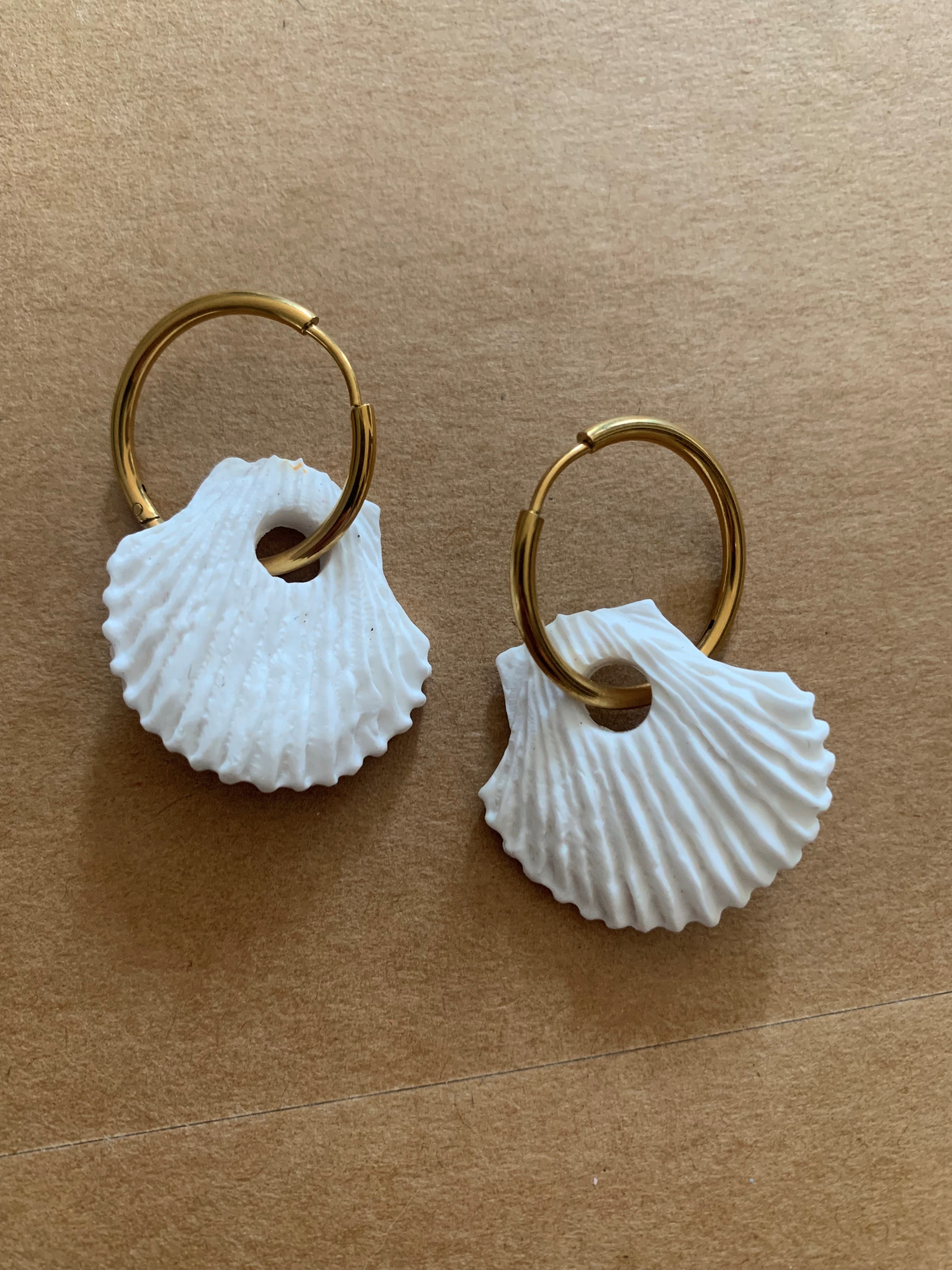 Coquillage 