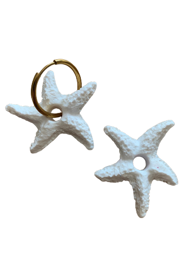 Etoile de mer 