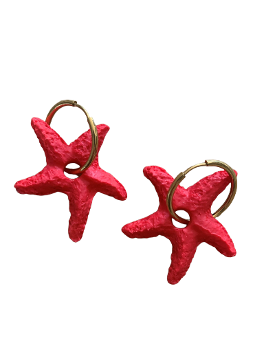 Etoile de mer 