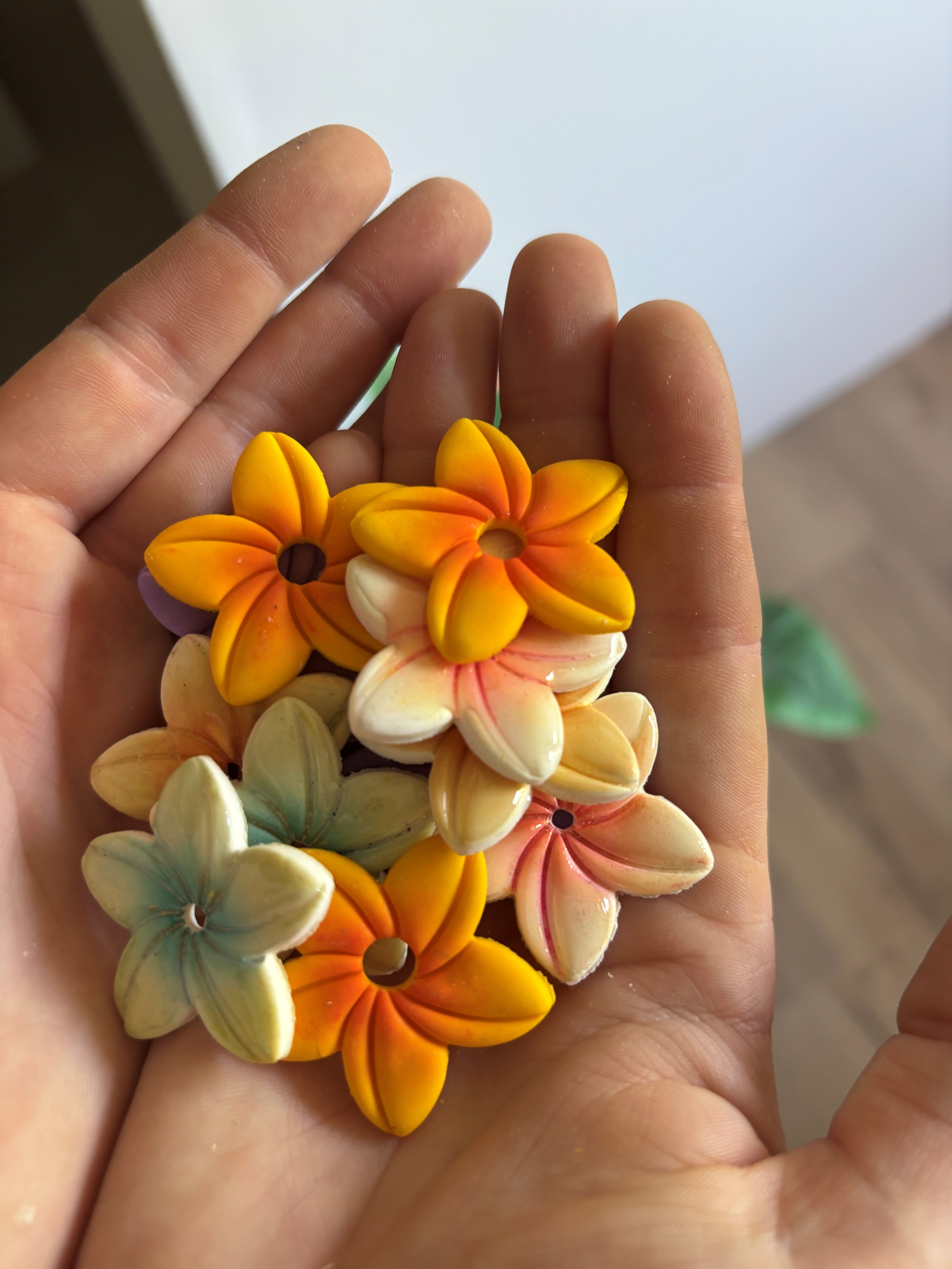 Fleur de frangipanier