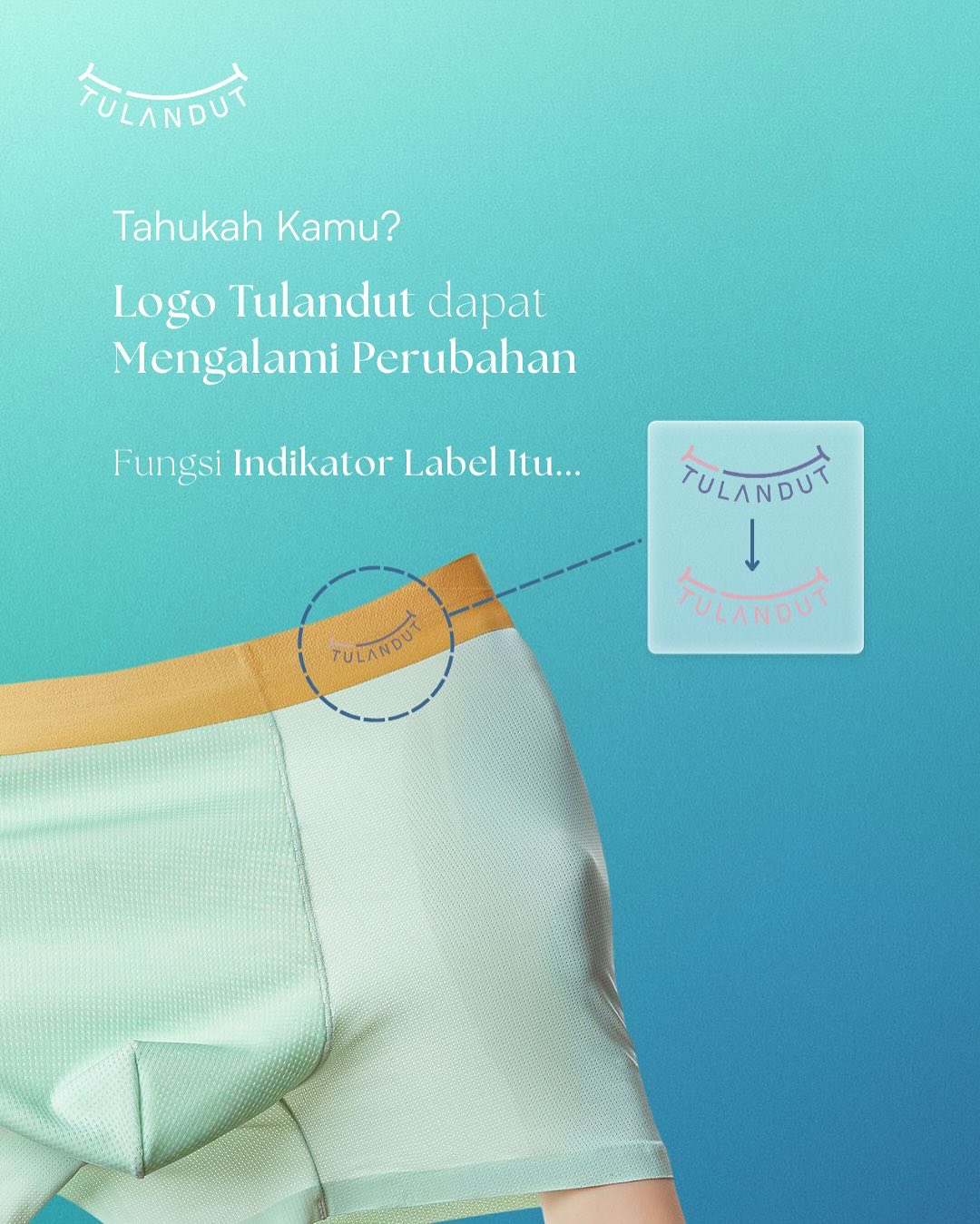 CELANA DALAM PRIA BY TULANDUT