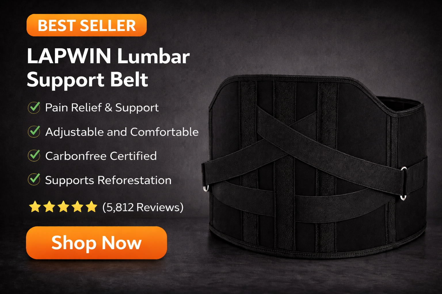 Lumbar Support Belt