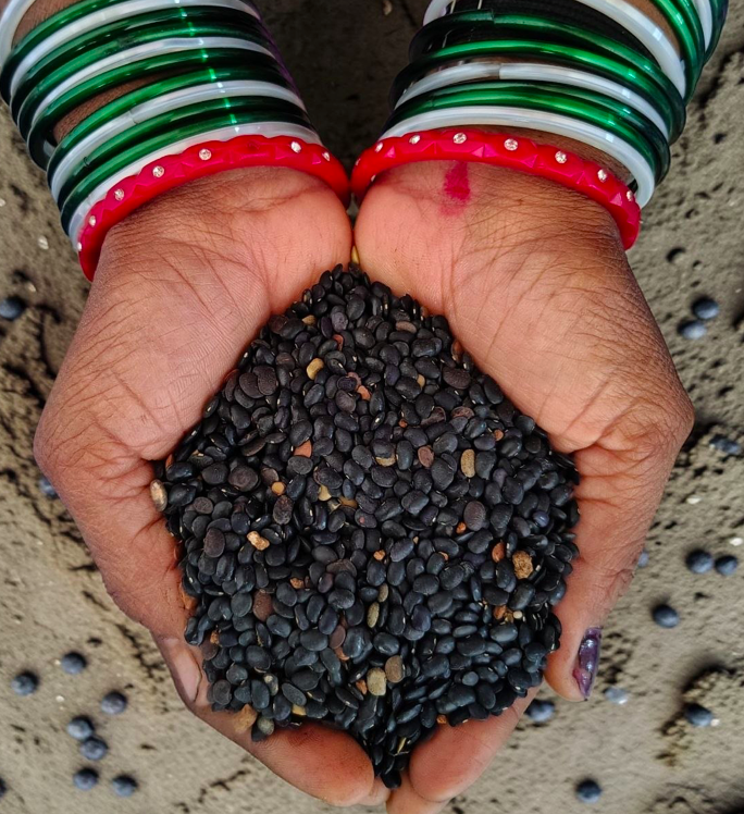 Premium Black Horse Gram|Ulavalu|500g