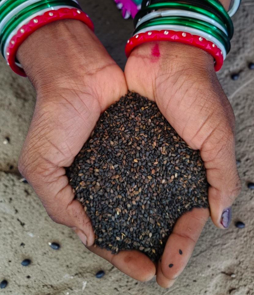 Black Sesame Seeds|250g