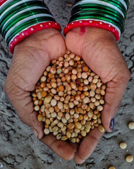 Organic Toor Dal|500g