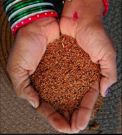 Organic Finger Millet|Ragi|500g