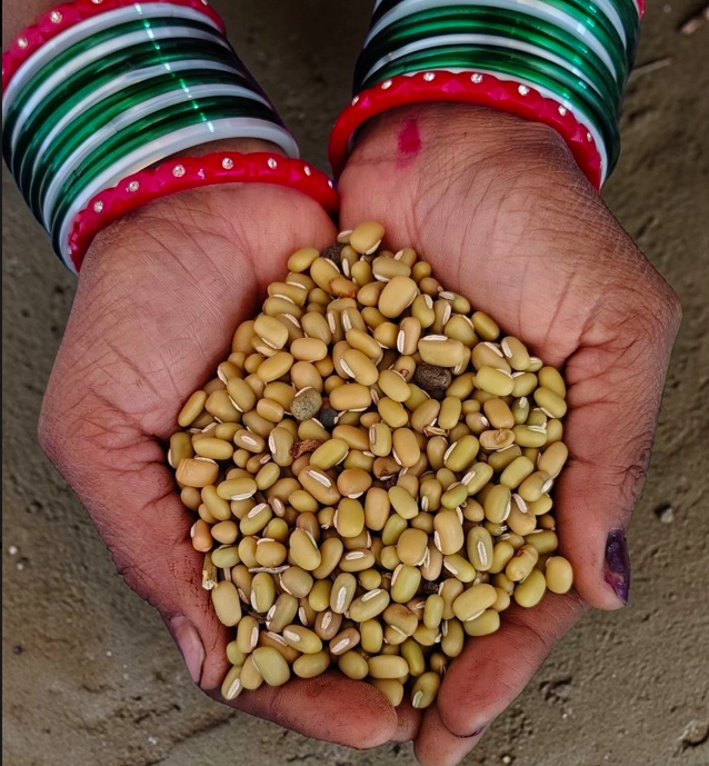 Organic Green Cow Peas|Alasandalu|500g