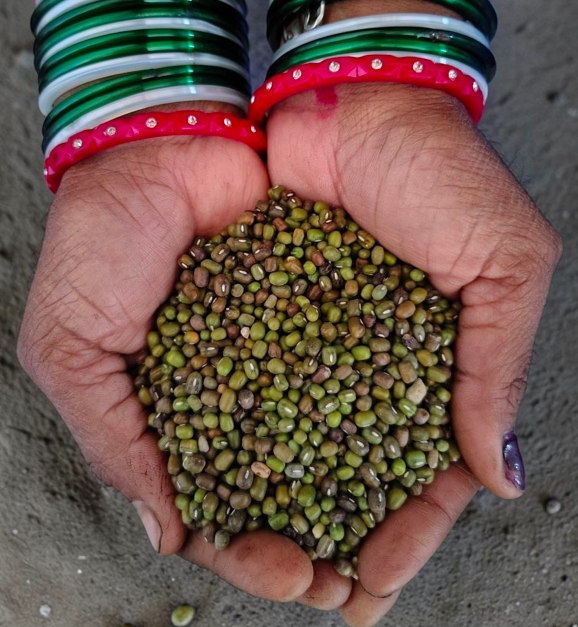 Organic Green Moong Dal|500g