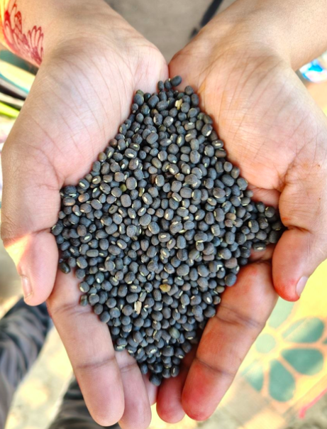 Black Gram| Urad Dal|500g