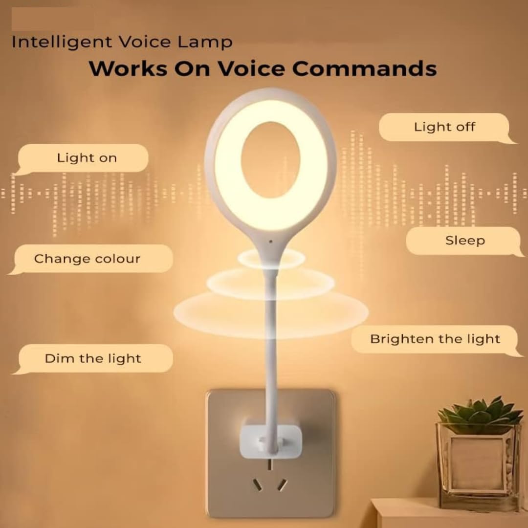 Intelligent Voice USB Lamp