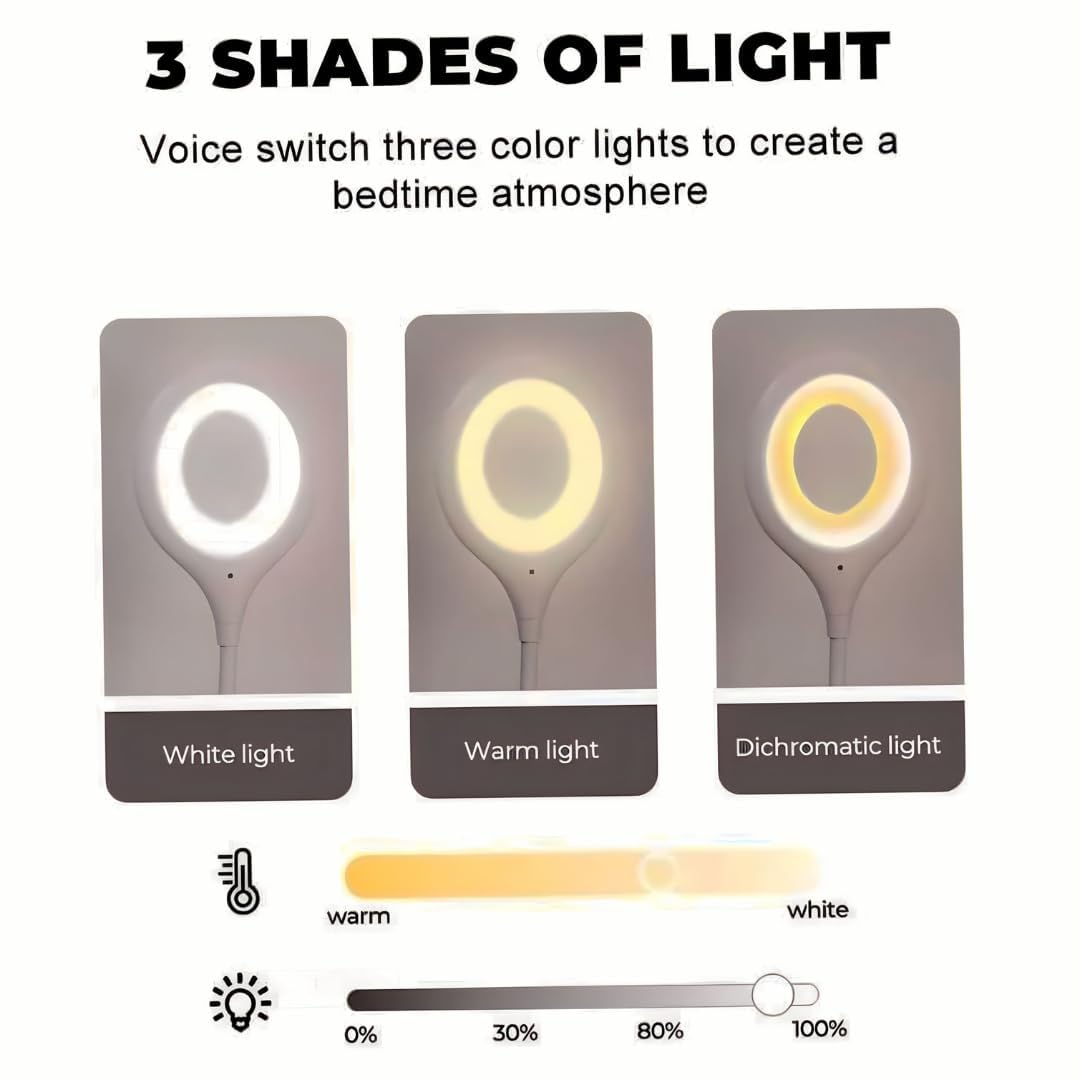 Intelligent Voice USB Lamp