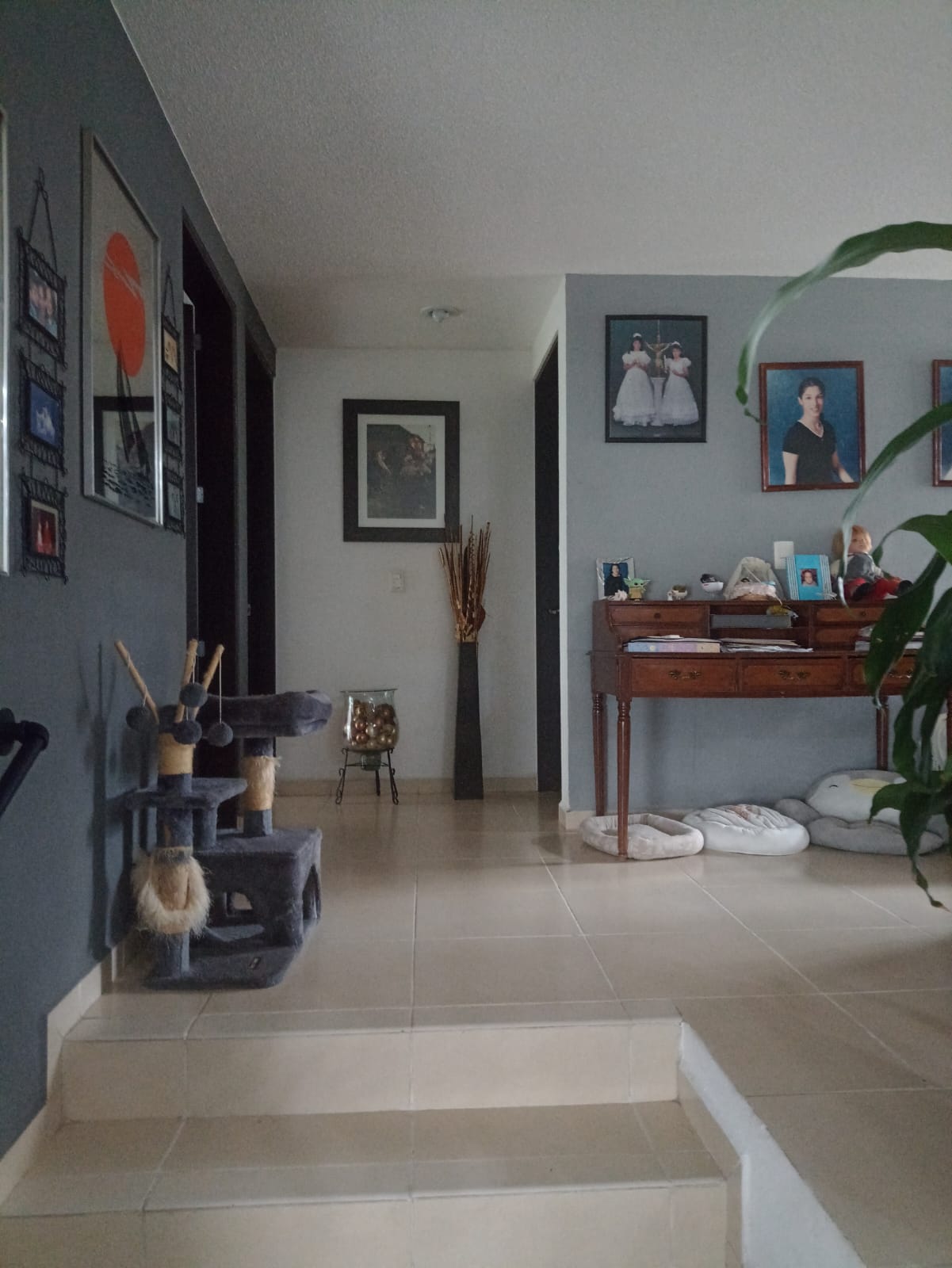 GRAN OPORTUNIDAD CASA PUNTA ESMERALDA